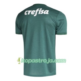 Billiga Fotbollströjor Palmeiras Hemma tröja 2018/19 Kortärmad
